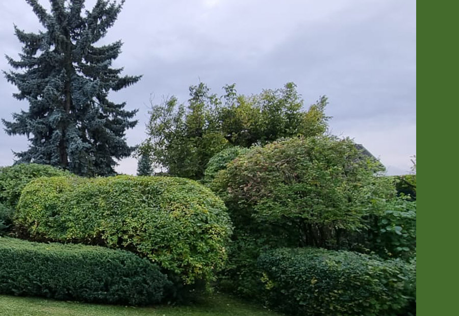 Ideen für eine gelungenen Garten.