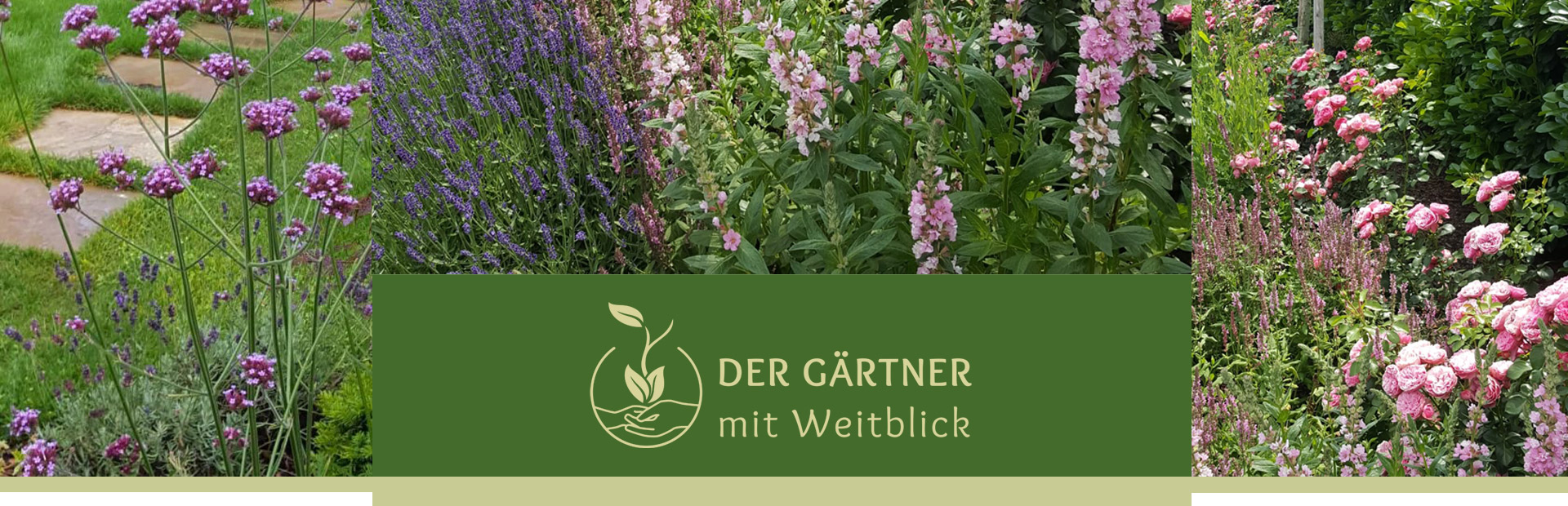  Blumenbeete sollten in keinem Garten fehlen! Kreative Beet-Ideen liefert Ihr Gärtner mit Weitblick.