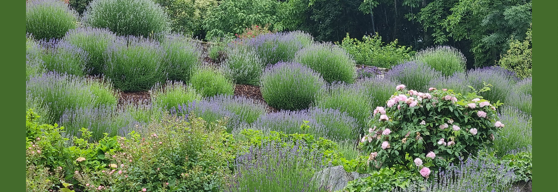 Garten Impressionen